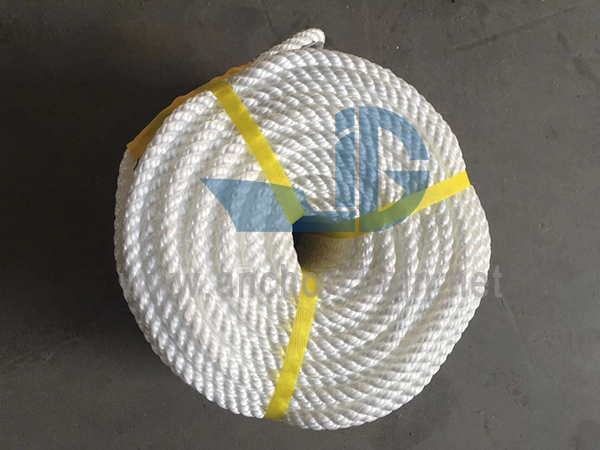 Filament unique en nylon 6 plis
