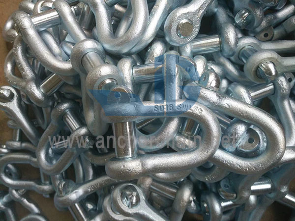 Type SD JIS B2801 Manille droite